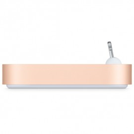 iPhone Lightning Dock - Altın Rengi