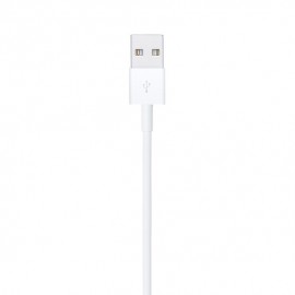 Lightning - USB Kablosu (1 m)